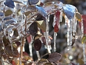 DFW-IcePocalypse-2013_Thaw (51)